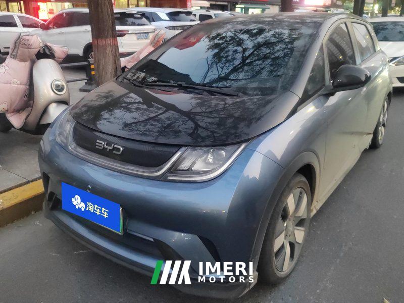 BYD Dolphin 520km Knight Edition - ავტომობილი ჩინეთიდან