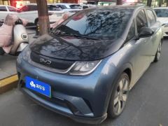 BYD Dolphin 520km Knight Edition - ფოტო 1
