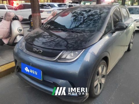2025 BYD Dolphin 520km Knight Edition - car from China
