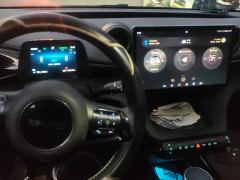 BYD Dolphin 520km Knight Edition - ფოტო 16
