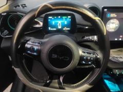BYD Dolphin 520km Knight Edition - ფოტო 18