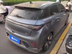BYD Dolphin 520km Knight Edition - ფოტო 2