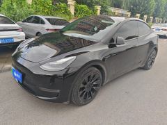 Tesla Model Y Standard endurance rear-wheel drive - фото 1