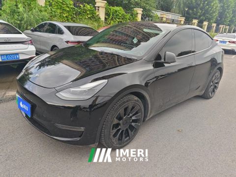 2021 Tesla Model Y Standard endurance rear-wheel drive - ავტომობილი ჩინეთიდან