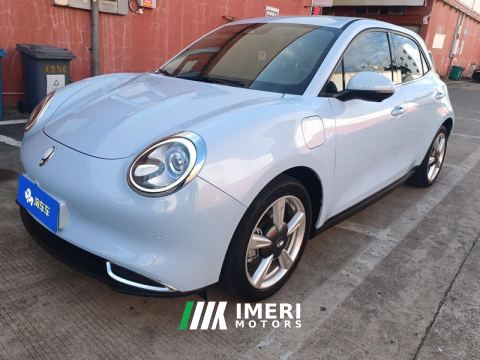 2021 Ora Great Wall Good Cat 401km Standard Range Edition