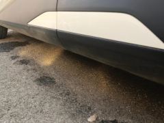 BYD Seagull Honor Edition 405km Flying Edition - ფოტო 11