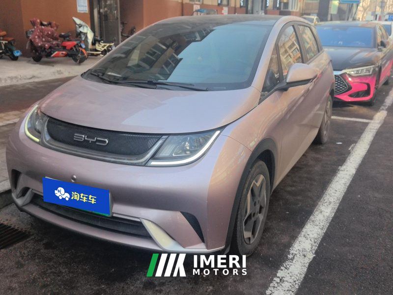BYD Dolphin 405km Stylish Edition - car from China