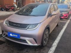BYD Dolphin 405km Stylish Edition - photo 1