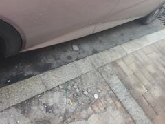 BYD Dolphin 405km Stylish Edition - photo 10