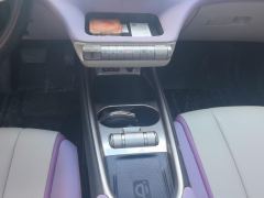 BYD Dolphin 405km Stylish Edition - photo 19