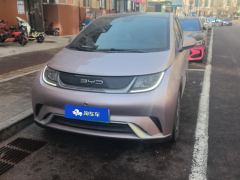 BYD Dolphin 405km Stylish Edition - photo 3