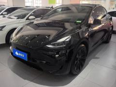 Tesla Model Y 545km Rear-Wheel Drive Edition - ფოტო 1