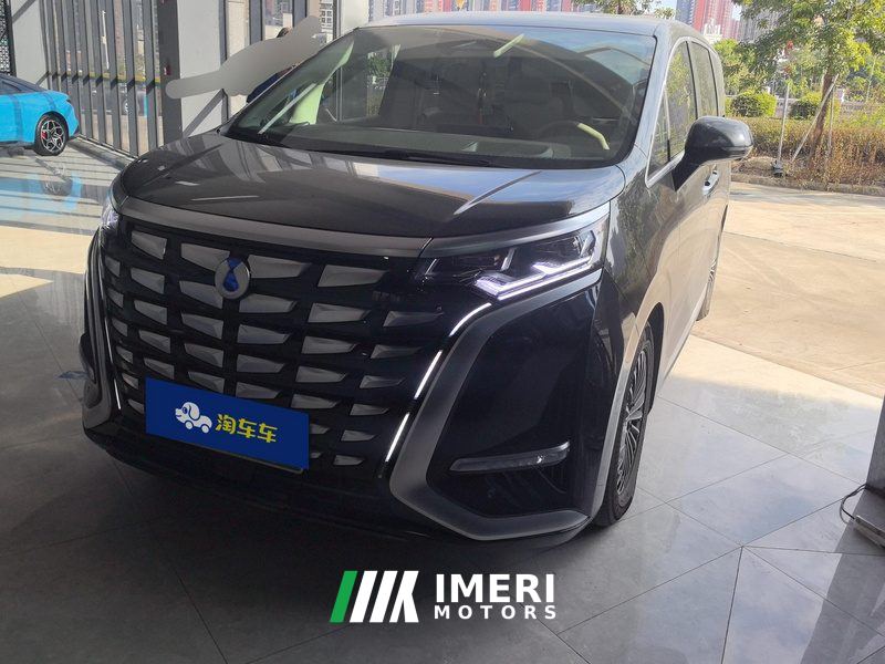 Denza D9 DM-i970AWD Version - car from China