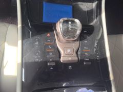 Denza D9 DM-i970AWD Version - photo 19