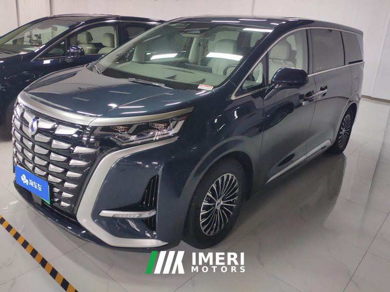 Denza D9 DM-i 970 4WD Flagship Edition - автомобиль из Китая