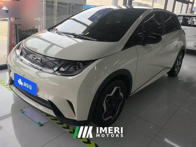 BYD Dolphin 405km Stylish Edition - ავტომობილი ჩინეთიდან