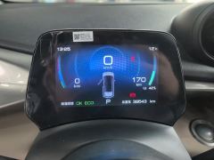 BYD Dolphin 405km Stylish Edition - ფოტო 20