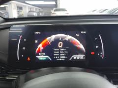 GAC Shadow Leopard 270T J15 Edition - ფოტო 20