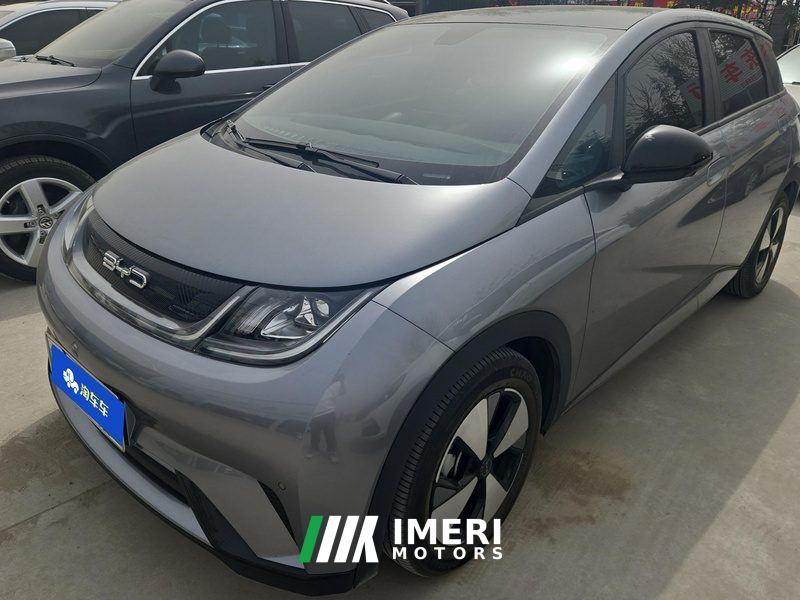 BYD Dolphin 420km Stylish Edition - ავტომობილი ჩინეთიდან