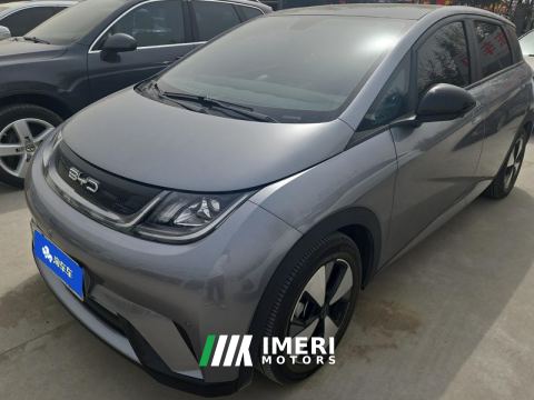 2023 BYD Dolphin 420km Stylish Edition - ავტომობილი ჩინეთიდან