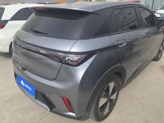 BYD Dolphin 420km Stylish Edition - ფოტო 2