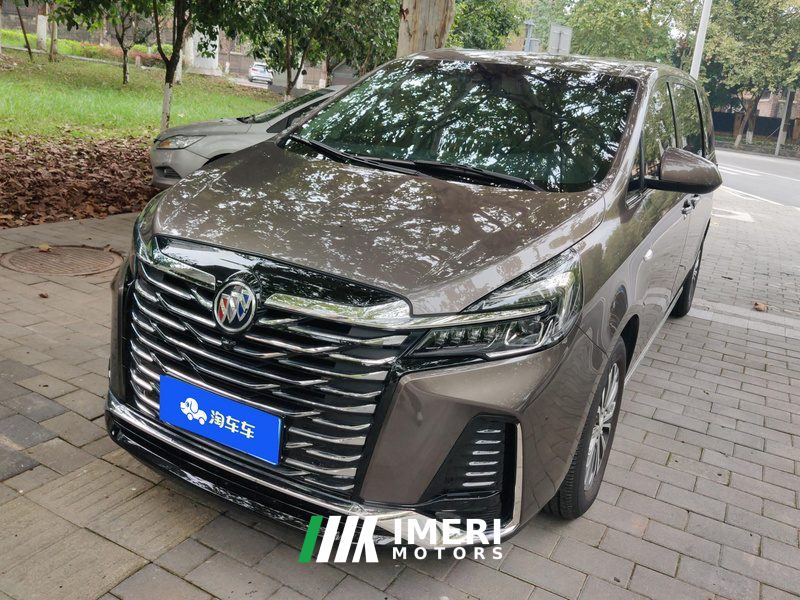 Buick GL8 Land Business Class 2.0T Luxury Edition 7-seater