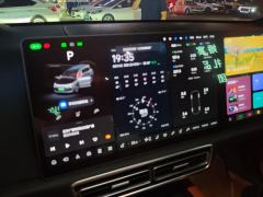 Li Auto L9 Max - ფოტო 20