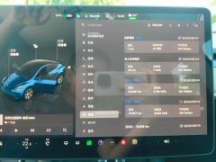 Tesla Model Y 545km Rear-Wheel Drive Edition - ფოტო 20