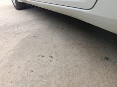 Baojun Valli 1.5T CVT Dali Sky - ფოტო 11