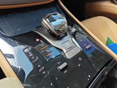 Denza D9 DM-i 1040 Premium - photo 19