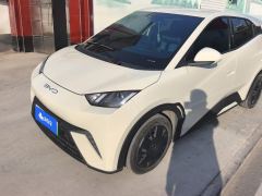 BYD Seagull 305km Vitality Edition - ფოტო 1