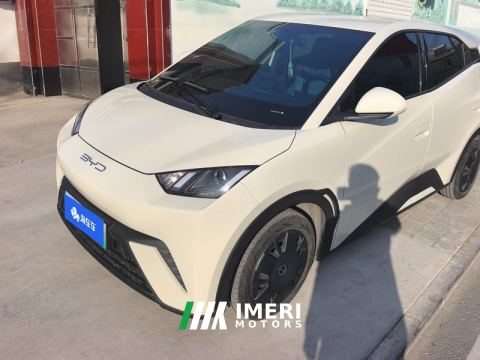 2023 BYD Seagull 305km Vitality Edition - ავტომობილი ჩინეთიდან