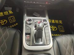 Tank 300 Off-Road Edition 2.0T Challenger - фото 19