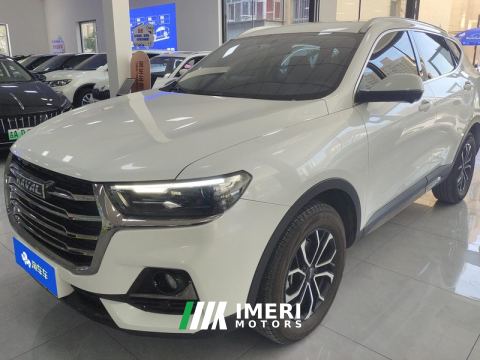 2023 Haval H6 Guochao Edition 1.5T 2WD Urban Edition - car from China
