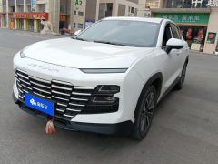 Jetour Dasheng 1.6T PLUS - photo 1