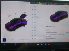 Tesla Model Y Standard endurance rear-wheel drive - photo 20