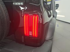 Tank 300 Off-Road Edition 2.0T Conqueror - photo 5