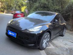 Tesla Model Y 545km Rear-Wheel Drive Edition - ფოტო 1