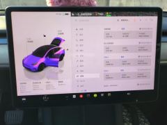 Tesla Model Y 660km Long Range AWD - photo 20