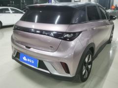 BYD Dolphin 401km Knight Edition - ფოტო 2
