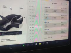 Tesla Model Y 545km Rear-Wheel Drive Edition - ფოტო 20