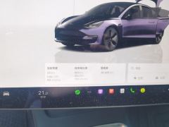 Tesla Model 3 556km Rear-Wheel Drive Edition - ფოტო 20