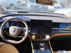 Denza D9 EV 600km 4WD Flagship Edition 7-seater - фото 16