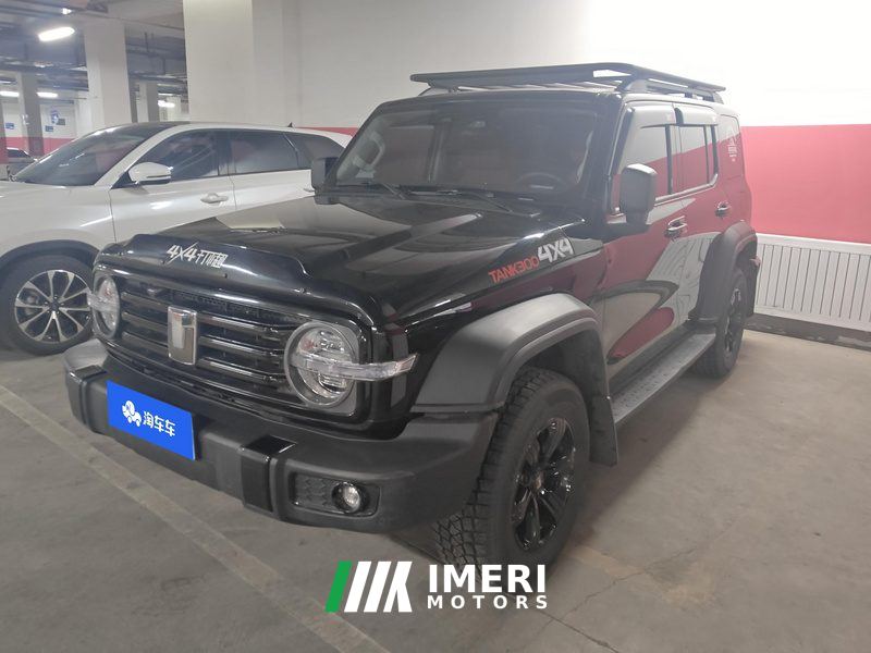 Tank 300 2.0T Challenger - car from China
