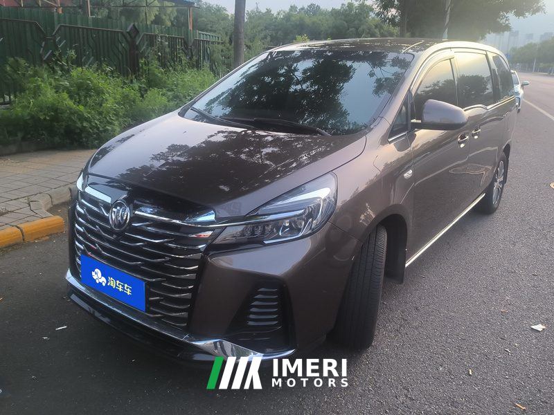 Buick GL8 Land Business Class 2.0T Smart Enjoyment Edition 7-seater