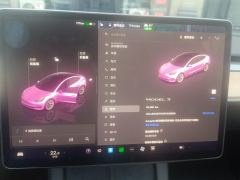 Tesla Model 3 556km Rear-Wheel Drive Edition - photo 20