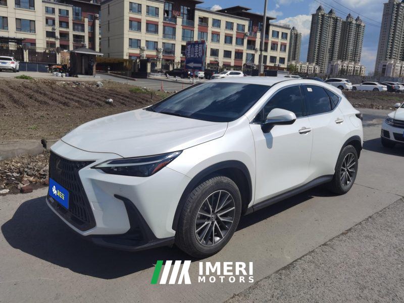 Lexus NX 260 2WD Edition - автомобиль из Китая