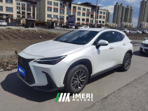 2022 Lexus NX 260 2WD Edition - ავტომობილი ჩინეთიდან