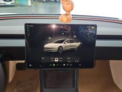 Tesla Model 3 606km Rear-Wheel Drive Edition - photo 17