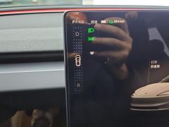 Tesla Model 3 606km Rear-Wheel Drive Edition - photo 19